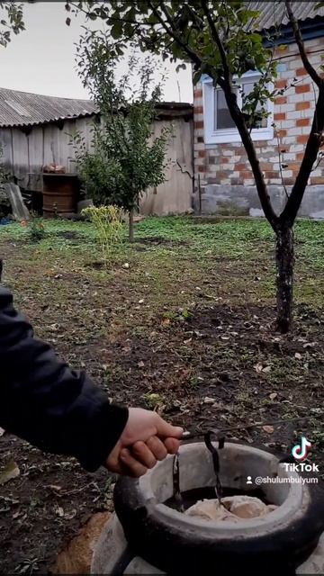 хрустящая курочка в тандыре целиком #тандыр #мангал #bbq #казан