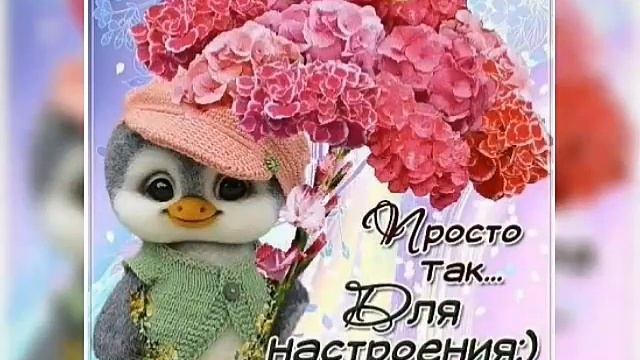 Спасибо галка смотреть онлайн