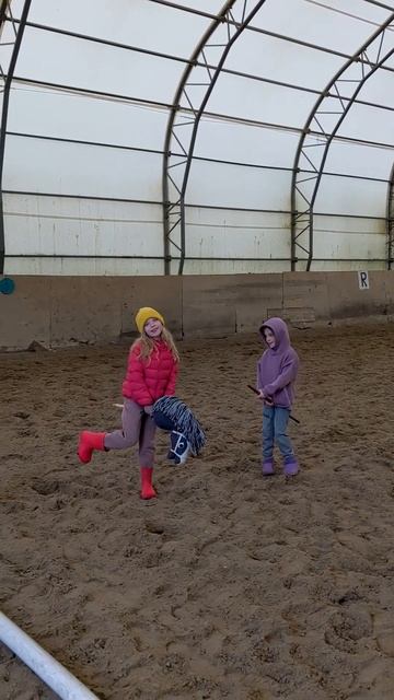 Хоббихорсинг сегодня. Учим движение по стене, в  выездковом манеже