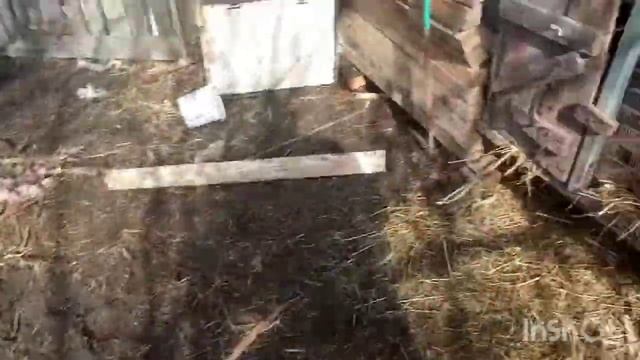 Новасті в хозяйствє роди