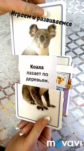 Обзор развивающих карточек смотреть онлайн