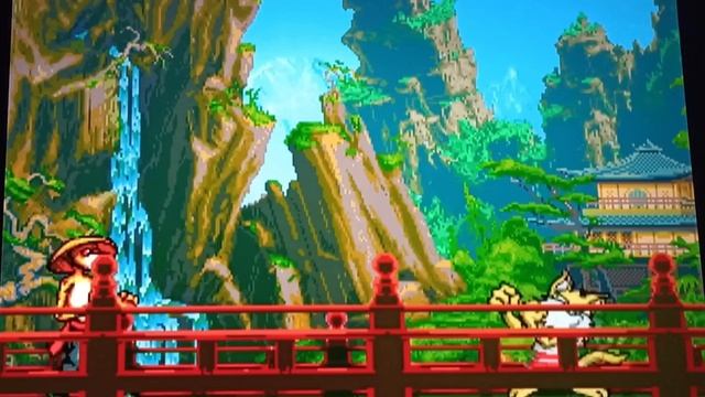 Brutal unleashed Paws of Fury. Бои животных на Super Nintendo. 32 bit. Реакция. Sega 32X смотреть онлайн