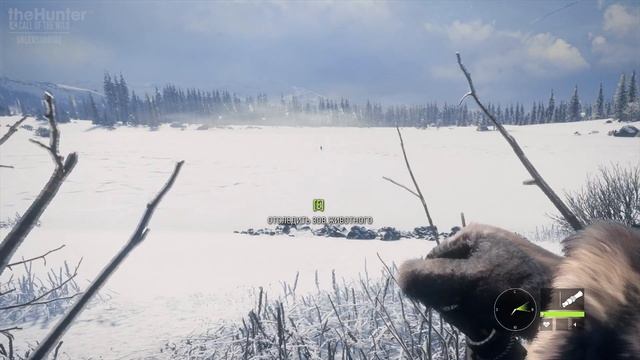 TheHunter_COTW_031_Отравленная_рысь