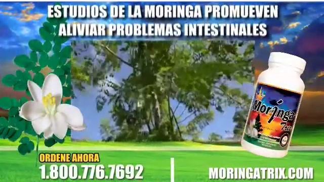 Moringa Trix Comercial 1-800-776-7692 - 718-360-0918 - Www.Moringatrix.com