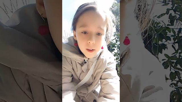 как приручить голубя смотреть онлайн