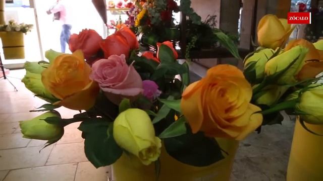 De oficio florista смотреть онлайн