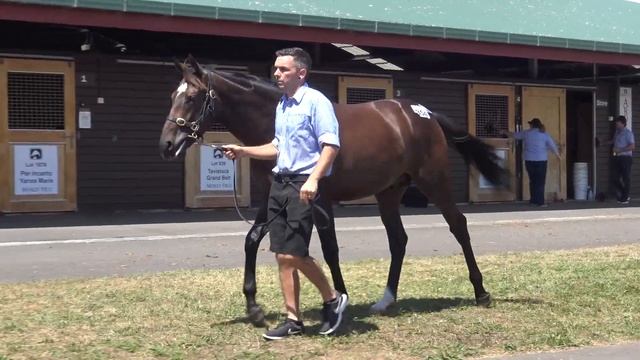 2018 Karaka Declaration Of War x Lycra Lass - Colin Little смотреть онлайн