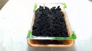 Посев томатов черри на рассаду!