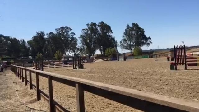 Dr. Carrie & Dazzler @ Sonoma Horse Park 7/15 смотреть онлайн