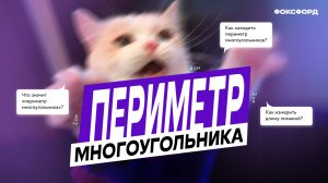 Периметр многоугольника | Математика, 2 класс