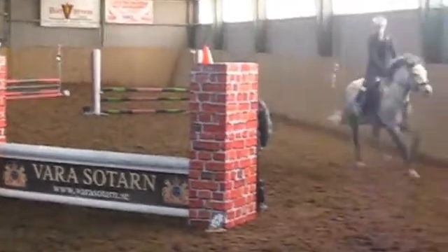 Lovisa & Vivierroland Pajsa 7 november 10 Clear round Levene смотреть онлайн
