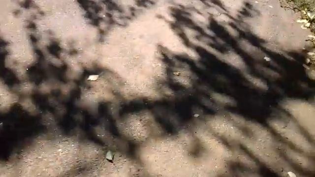 Приключения Kepka и Paul Часть 3 смотреть онлайн