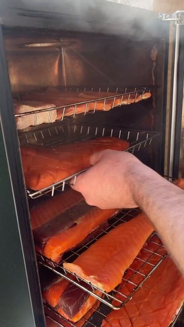 Доставка по всей Америке🔝 https://instagram.com/wesmokefish?igshid=MzRlODBiNWFlZA== смотреть онлайн