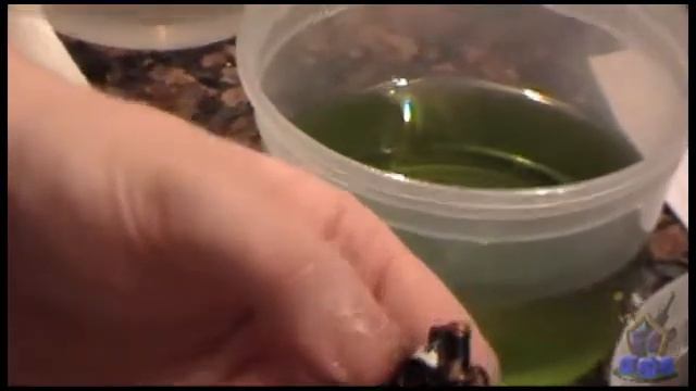 Back to Basics: "Final" Simple Green test part 2 смотреть онлайн