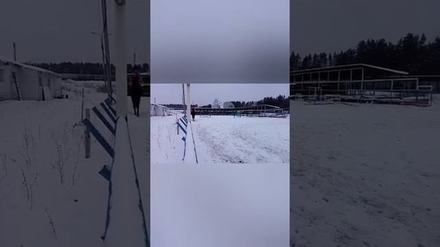 КоноВлог/ мини конкурная тренировка/ на Егории смотреть онлайн