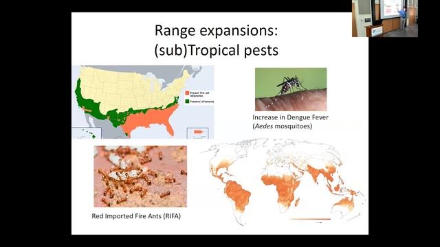Lunchbox Talk: Climate Change and Biodiversity: How Will Plants and Animals Respond? смотреть онлайн