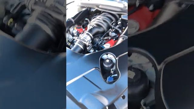 Maserati 2014 смотреть онлайн