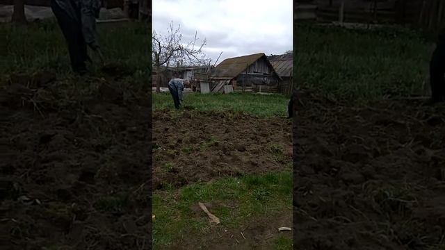 Копают картошку весной два овтюка смотреть онлайн