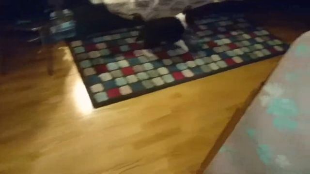 Ему же будет не с чем играть