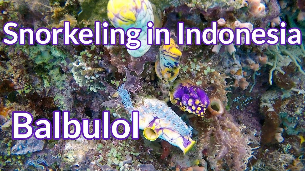 Balbulol, Misool - Snorkeling In Indonesia