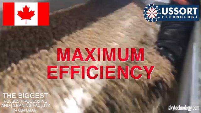 Canada Pulses Processing Plant смотреть онлайн