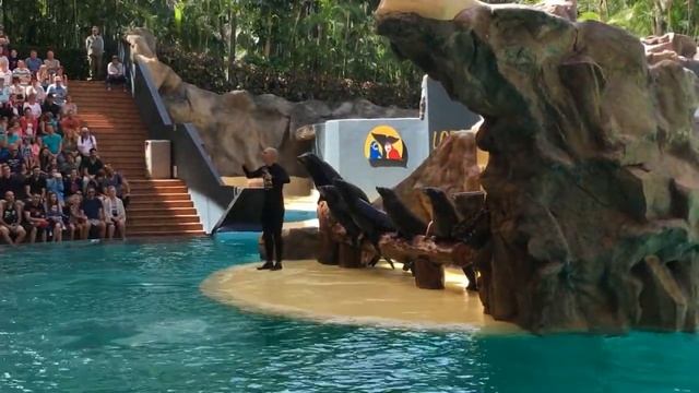 Моркотики ЛОРО смотреть онлайн