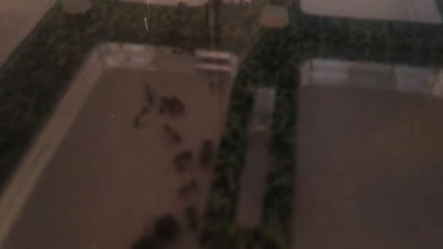 Муравь ная калония спустя неделю смотреть онлайн