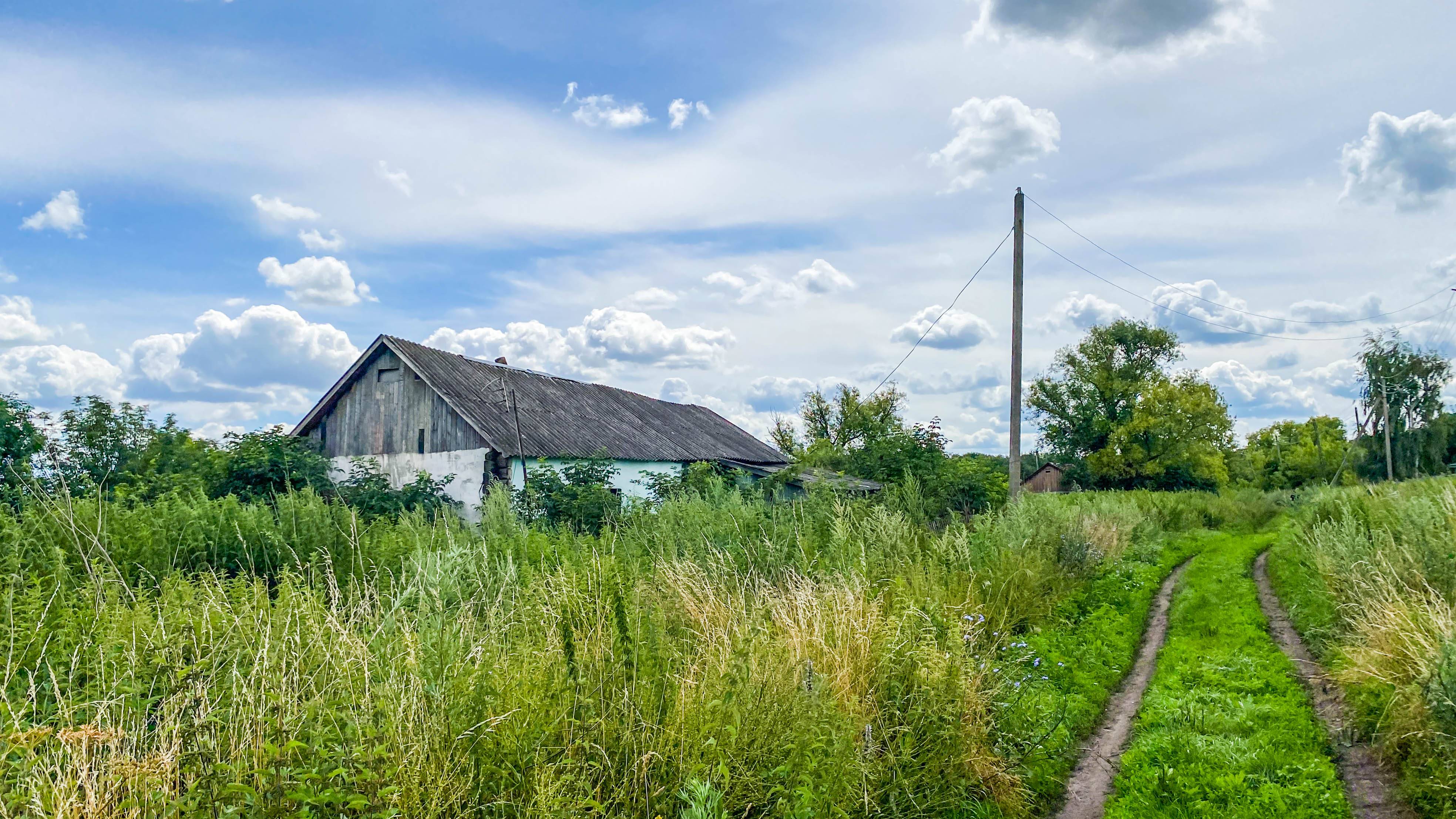 Глухая деревня Рязанщины. Там не осталось ни одного постоянного жителя, лишь на лето приезжают неско смотреть онлайн
