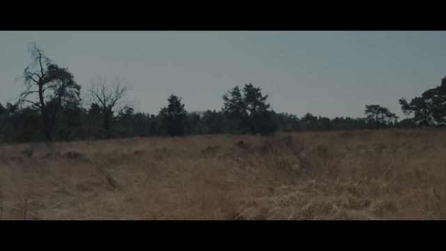 Lost Frequencies Feat. Janieck Devy - Reality (Official Video)