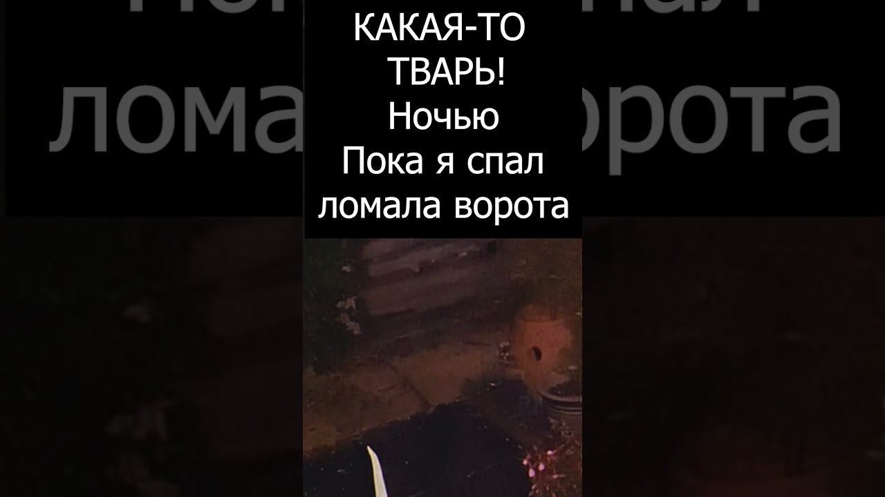 Пока я спал, Какая-то тварь ломала забор! День 5 #shorts