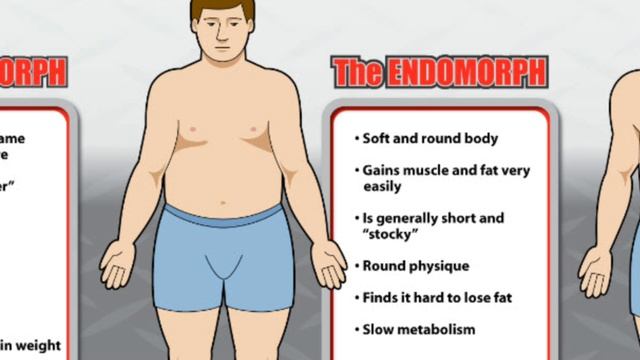 ENDO, ECTO OR MESOMORPH, TROUBLE GAINING OR LOSING? смотреть онлайн