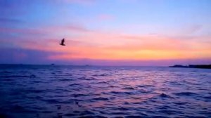 ❤💖👫💐❤Нужно просто жить. Стихи_Фенько Юрия . Музыка и вокал_Захарова Александр