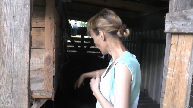 Мои кролики 🐇 смотреть онлайн