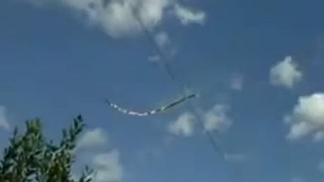 Ветка загорелась от проводов смотреть онлайн