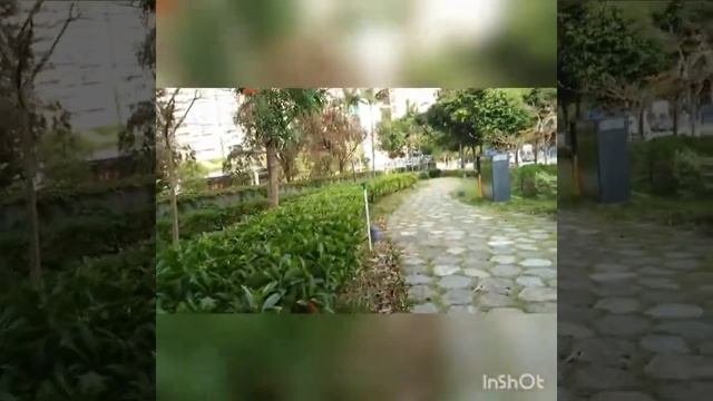 Sai Wan Ho Park Hong Kong смотреть онлайн