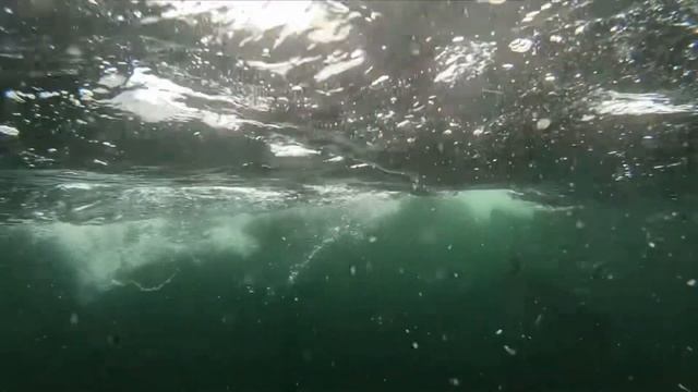 Giant Tuna Fishing смотреть онлайн