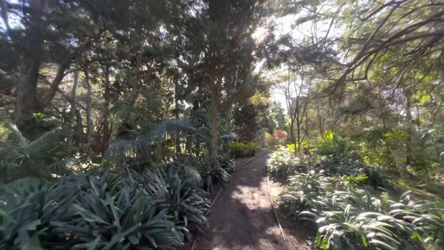 Auckland Botanic Gardens | Walk Tour | New Zealand🇳🇿 смотреть онлайн