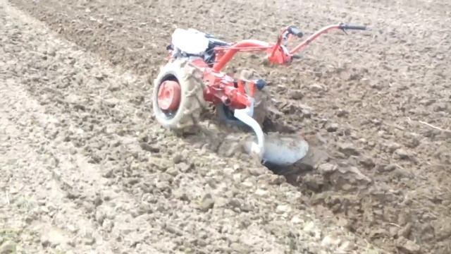 2017 04 24 10 03 04 смотреть онлайн