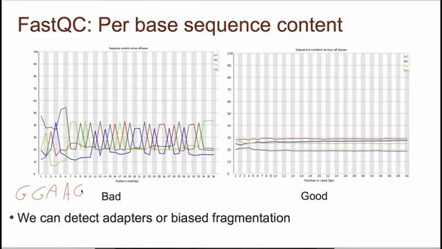 4 3 Проверка качества FastQC Quality Check FastQC смотреть онлайн