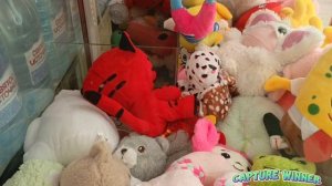 А ВОТ И НОВИНОЧКИ В АППАРАТАХ🥰🥰🥰БОЛЬШОЙ МИШКА УПРЯМИТСЯ + крутой сильный захват 🤞