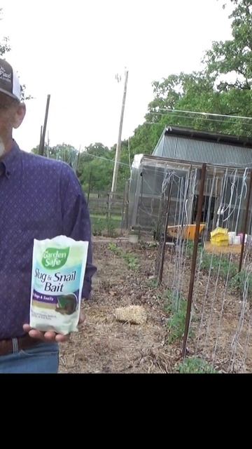 How to control slugs and snails in your garden the safe way #shorts #garden #mulch смотреть онлайн