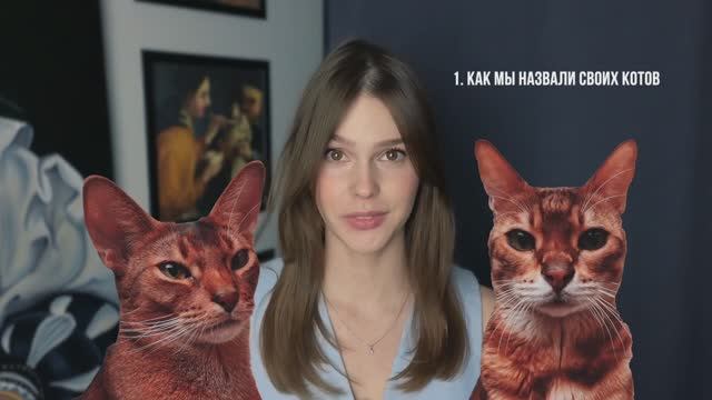 Как назвать кота-рекомендации смотреть онлайн