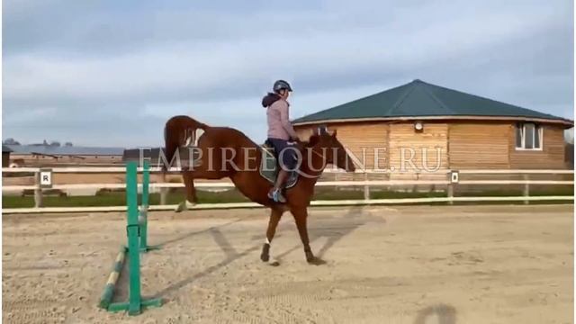 1364 смотреть онлайн