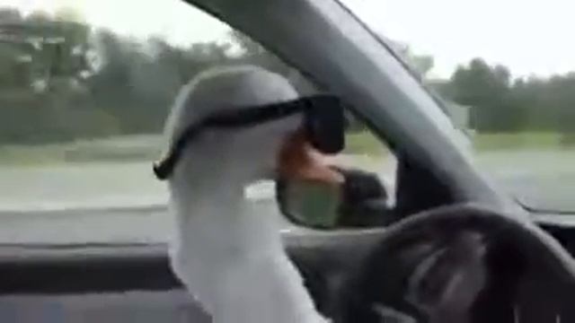 Опасный Гусь смотреть онлайн