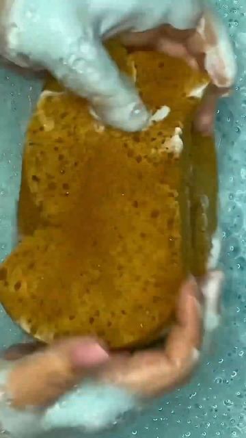 clamshell sponge 🤎💙 смотреть онлайн