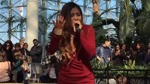 Mary Ann VanDer Horst 3-20-16, Chicago -part = 1 смотреть онлайн