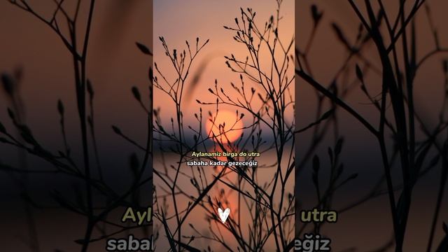 Salam Alaykum-Azzamchik  Lyrics | Türkçe çeviri| #azzamchik #salamalaykum #lyrics