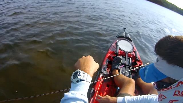 BGKFA QC #1: Trout Amidst Trash смотреть онлайн