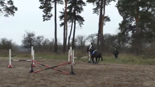 Оля Еремеева и Октава 2013 80 см смотреть онлайн