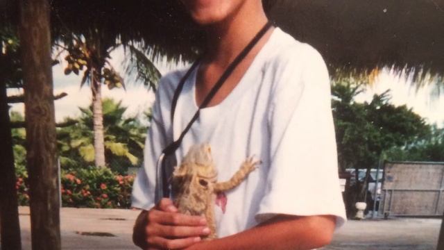 Alligator Wrestler смотреть онлайн